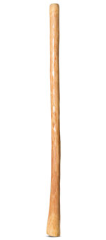 Gloss Finish Didgeridoo (TW1324)
